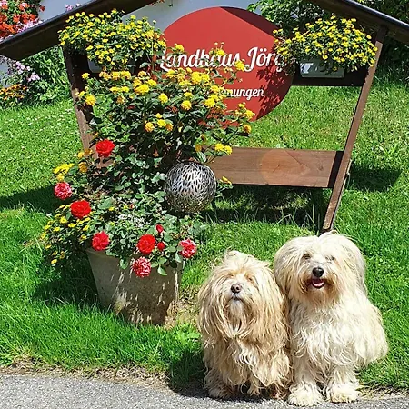 Joerg - Giebelwohnung Gipfelstuermer Mit Balkon, Naturnahe Lage, Hunde Willkommen * 레텐베르크