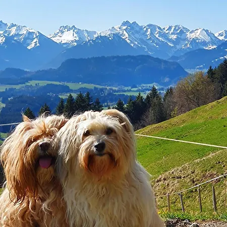 Joerg - Giebelwohnung Gipfelstuermer Mit Balkon, Naturnahe Lage, Hunde Willkommen * Rettenberg
